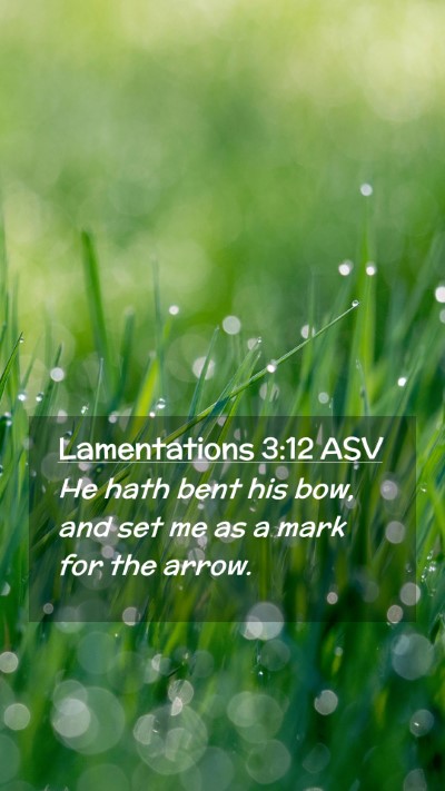 Picture 02 - Lamentations 3:12 ASV Mobile Phone Wallpaper - He hath bent his bow, and set me as a mark for - Mobile Bible Verse Wallpaper