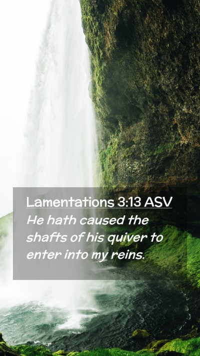 Picture 02 - Lamentations 3:13 ASV Mobile Phone Wallpaper - He hath caused the shafts of his quiver to enter - Mobile Bible Verse Wallpaper