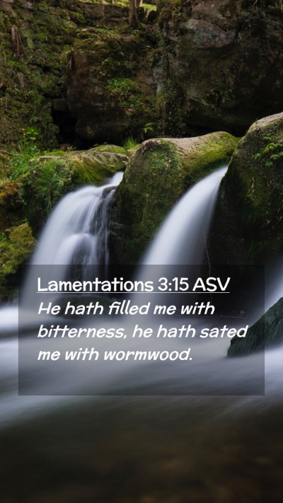 Picture 02 - Lamentations 3:15 ASV Mobile Phone Wallpaper - He hath filled me with bitterness, he hath sated - Mobile Bible Verse Wallpaper