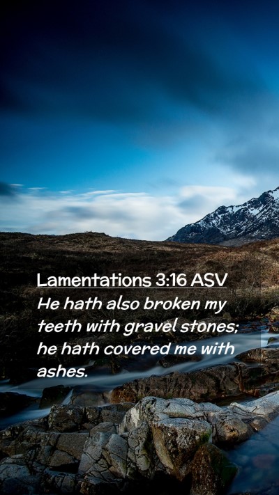 Picture 02 - Lamentations 3:16 ASV Mobile Phone Wallpaper - He hath also broken my teeth with gravel stones; - Mobile Bible Verse Wallpaper