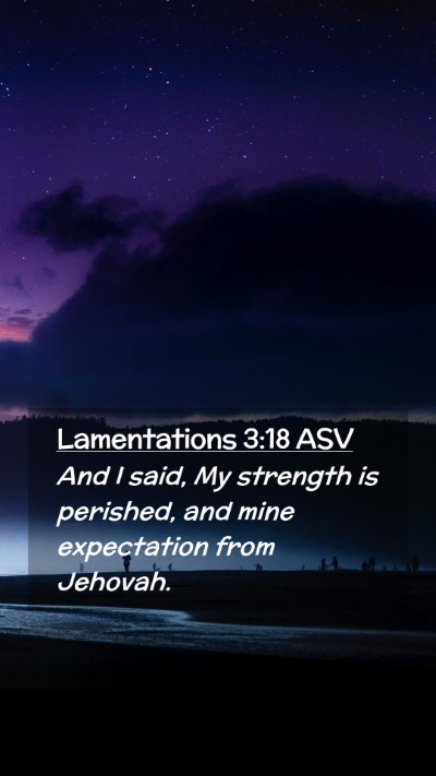 Picture 02 - Lamentations 3:18 ASV Mobile Phone Wallpaper - And I said, My strength is perished, and mine - Mobile Bible Verse Wallpaper