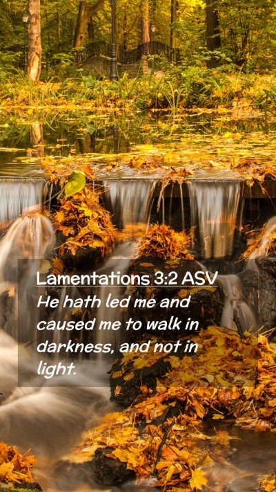 Picture 02 - Lamentations 3:2 ASV Mobile Phone Wallpaper - He hath led me and caused me to walk in darkness, - Mobile Bible Verse Wallpaper