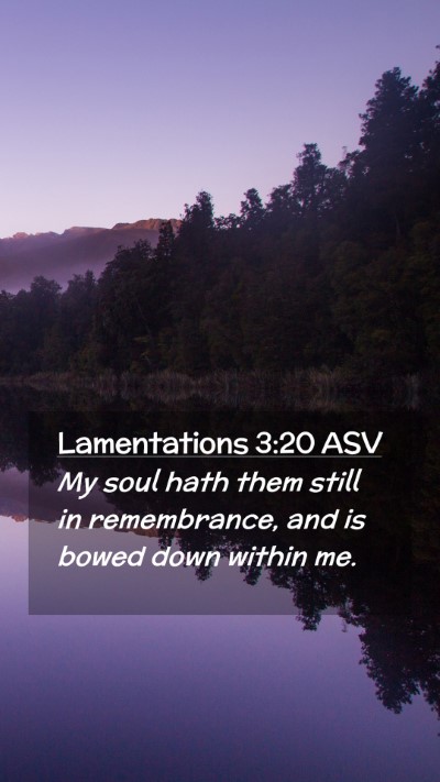Picture 02 - Lamentations 3:20 ASV Mobile Phone Wallpaper - My soul hath them still in remembrance, and is - Mobile Bible Verse Wallpaper