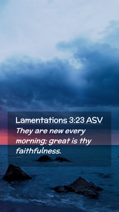 Picture 02 - Lamentations 3:23 ASV Mobile Phone Wallpaper - They are new every morning; great is thy - Mobile Bible Verse Wallpaper