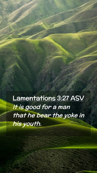 Picture 02 - Lamentations 3:27 ASV Mobile Phone Wallpaper - It is good for a man that he bear the yoke in his - Mobile Bible Verse Wallpaper
