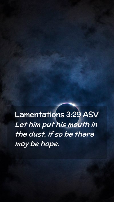 Picture 02 - Lamentations 3:29 ASV Mobile Phone Wallpaper - Let him put his mouth in the dust, if so be there - Mobile Bible Verse Wallpaper