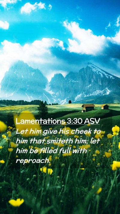 Picture 02 - Lamentations 3:30 ASV Mobile Phone Wallpaper - Let him give his cheek to him that smiteth him; - Mobile Bible Verse Wallpaper