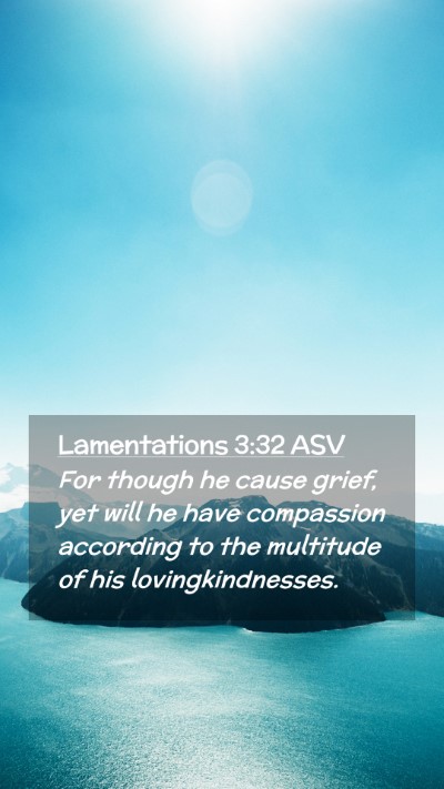 Picture 02 - Lamentations 3:32 ASV Mobile Phone Wallpaper - For though he cause grief, yet will he have - Mobile Bible Verse Wallpaper