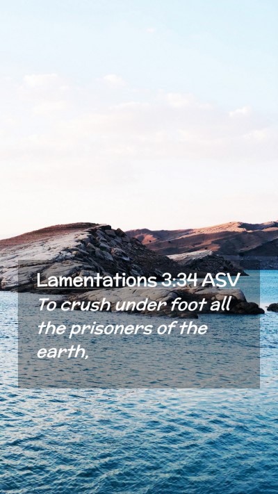 Picture 02 - Lamentations 3:34 ASV Mobile Phone Wallpaper - To crush under foot all the prisoners of the - Mobile Bible Verse Wallpaper
