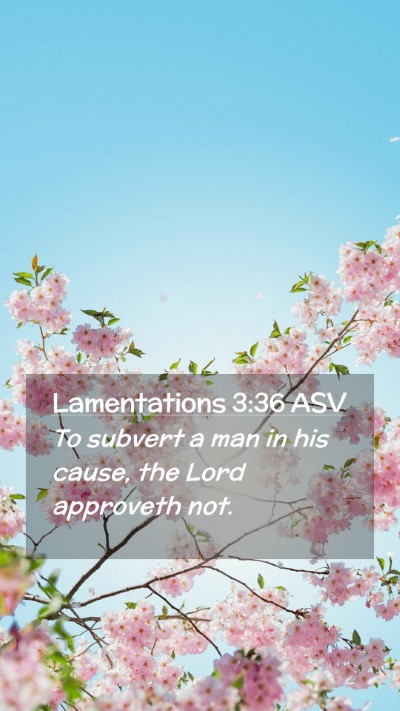 Picture 02 - Lamentations 3:36 ASV Mobile Phone Wallpaper - To subvert a man in his cause, the Lord approveth - Mobile Bible Verse Wallpaper