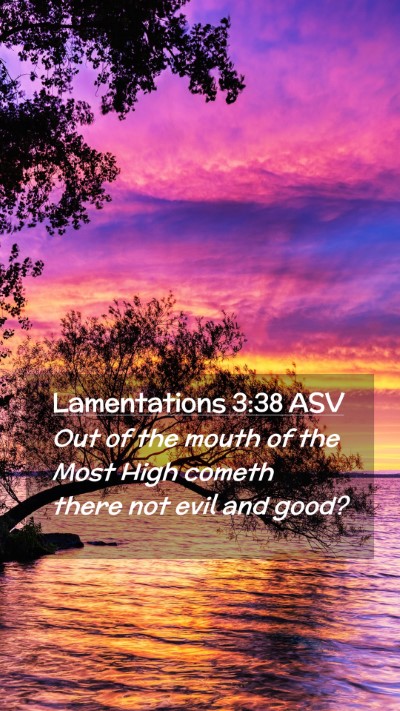 Picture 02 - Lamentations 3:38 ASV Mobile Phone Wallpaper - Out of the mouth of the Most High cometh there - Mobile Bible Verse Wallpaper