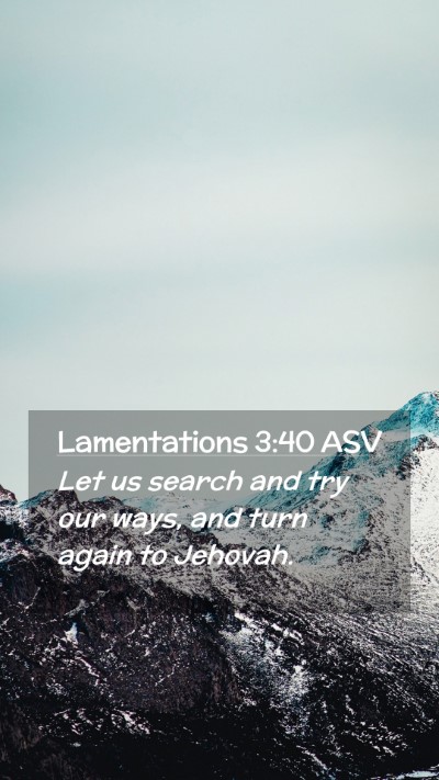 Picture 02 - Lamentations 3:40 ASV Mobile Phone Wallpaper - Let us search and try our ways, and turn again to - Mobile Bible Verse Wallpaper