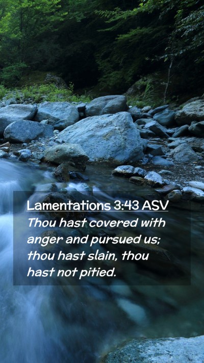 Picture 02 - Lamentations 3:43 ASV Mobile Phone Wallpaper - Thou hast covered with anger and pursued us; thou - Mobile Bible Verse Wallpaper