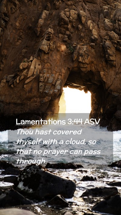 Picture 02 - Lamentations 3:44 ASV Mobile Phone Wallpaper - Thou hast covered thyself with a cloud, so that - Mobile Bible Verse Wallpaper
