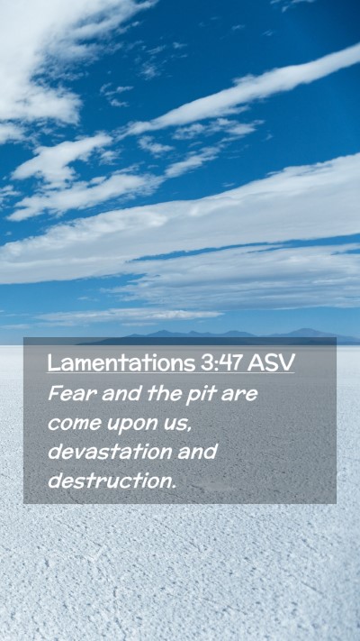Picture 02 - Lamentations 3:47 ASV Mobile Phone Wallpaper - Fear and the pit are come upon us, devastation - Mobile Bible Verse Wallpaper