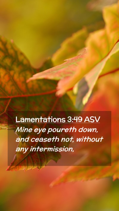 Picture 02 - Lamentations 3:49 ASV Mobile Phone Wallpaper - Mine eye poureth down, and ceaseth not, without - Mobile Bible Verse Wallpaper