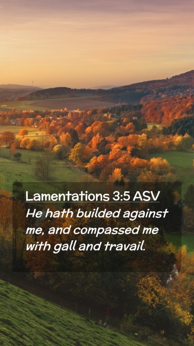 Picture 02 - Lamentations 3:5 ASV Mobile Phone Wallpaper - He hath builded against me, and compassed me with - Mobile Bible Verse Wallpaper
