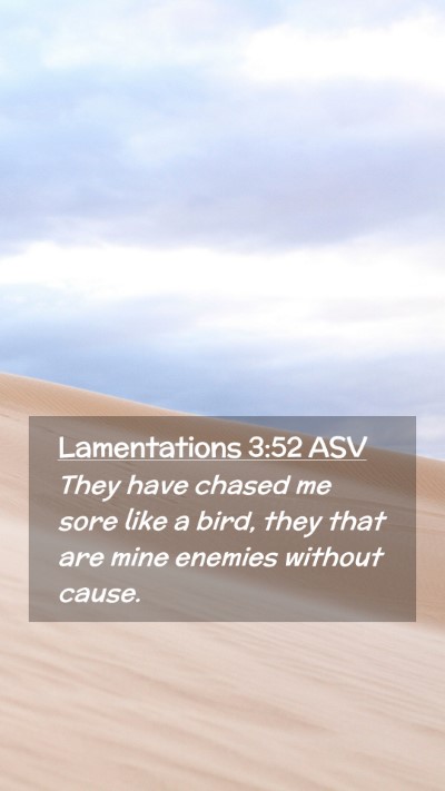 Picture 02 - Lamentations 3:52 ASV Mobile Phone Wallpaper - They have chased me sore like a bird, they that - Mobile Bible Verse Wallpaper