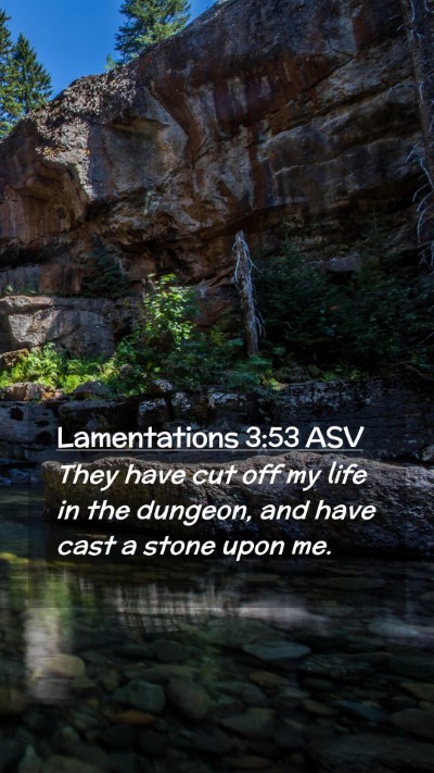 Picture 02 - Lamentations 3:53 ASV Mobile Phone Wallpaper - They have cut off my life in the dungeon, and - Mobile Bible Verse Wallpaper