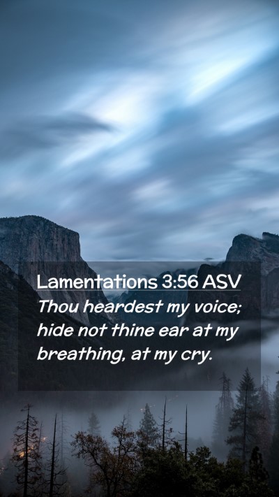 Picture 02 - Lamentations 3:56 ASV Mobile Phone Wallpaper - Thou heardest my voice; hide not thine ear at my - Mobile Bible Verse Wallpaper