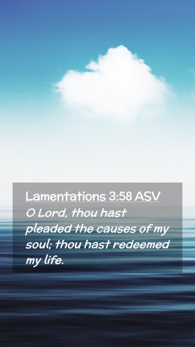 Picture 02 - Lamentations 3:58 ASV Mobile Phone Wallpaper - O Lord, thou hast pleaded the causes of my soul; - Mobile Bible Verse Wallpaper