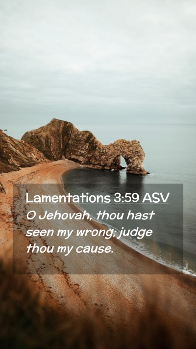 Picture 02 - Lamentations 3:59 ASV Mobile Phone Wallpaper - O Jehovah, thou hast seen my wrong; judge thou my - Mobile Bible Verse Wallpaper