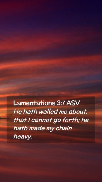 Picture 02 - Lamentations 3:7 ASV Mobile Phone Wallpaper - He hath walled me about, that I cannot go forth; - Mobile Bible Verse Wallpaper
