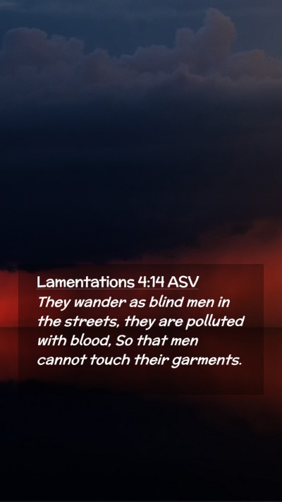 Picture 02 - Lamentations 4:14 ASV Mobile Phone Wallpaper - They wander as blind men in the streets, they are - Mobile Bible Verse Wallpaper