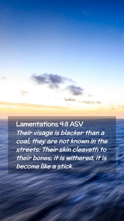 Picture 02 - Lamentations 4:8 ASV Mobile Phone Wallpaper - Their visage is blacker than a coal; they are not - Mobile Bible Verse Wallpaper