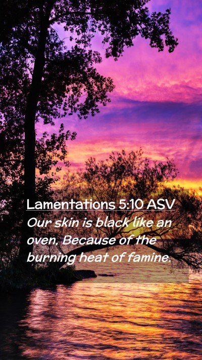 Picture 02 - Lamentations 5:10 ASV Mobile Phone Wallpaper - Our skin is black like an oven, Because of the - Mobile Bible Verse Wallpaper