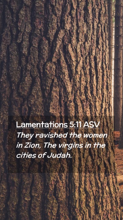 Picture 02 - Lamentations 5:11 ASV Mobile Phone Wallpaper - They ravished the women in Zion, The virgins in - Mobile Bible Verse Wallpaper