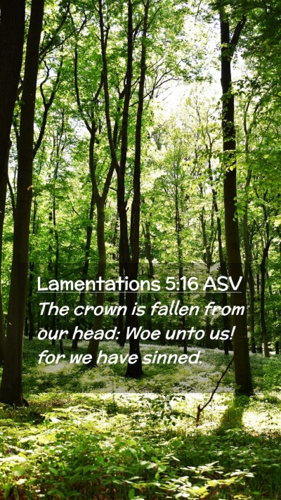 Picture 02 - Lamentations 5:16 ASV Mobile Phone Wallpaper - The crown is fallen from our head: Woe unto us! - Mobile Bible Verse Wallpaper