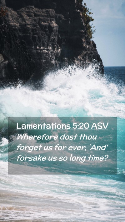 Picture 02 - Lamentations 5:20 ASV Mobile Phone Wallpaper - Wherefore dost thou forget us for ever, `And' - Mobile Bible Verse Wallpaper