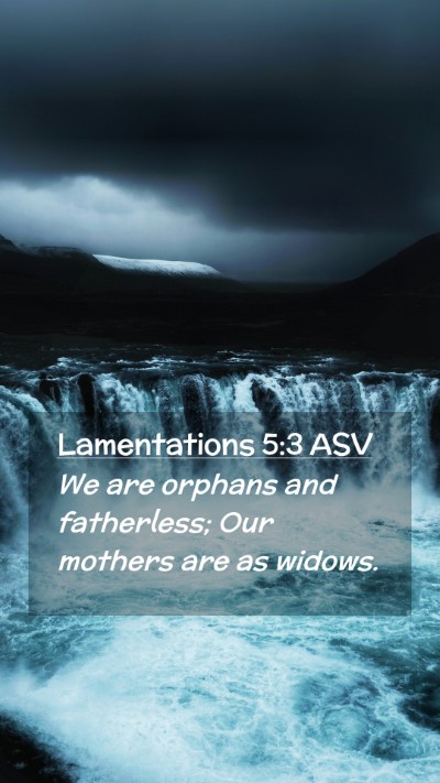 Picture 02 - Lamentations 5:3 ASV Mobile Phone Wallpaper - We are orphans and fatherless; Our mothers are as - Mobile Bible Verse Wallpaper