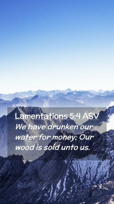 Picture 02 - Lamentations 5:4 ASV Mobile Phone Wallpaper - We have drunken our water for money; Our wood is - Mobile Bible Verse Wallpaper