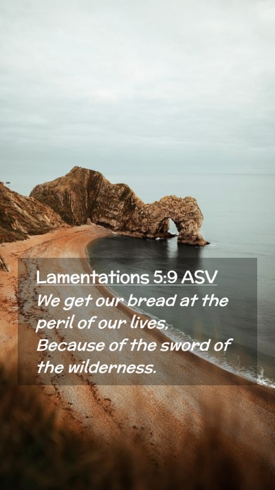 Picture 02 - Lamentations 5:9 ASV Mobile Phone Wallpaper - We get our bread at the peril of our lives, - Mobile Bible Verse Wallpaper