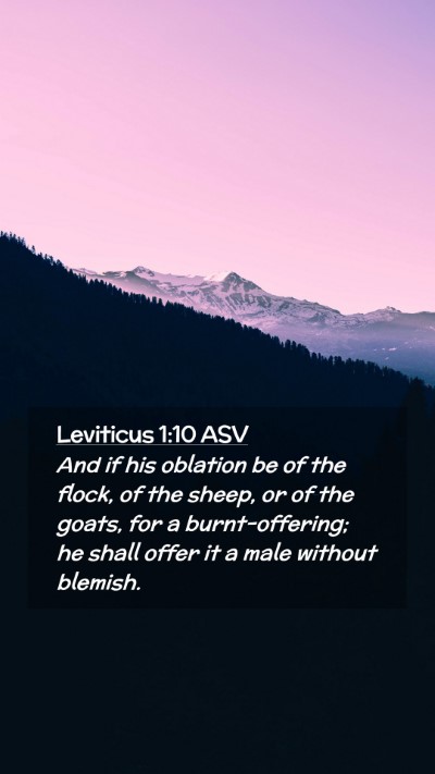 Picture 02 - Leviticus 1:10 ASV Mobile Phone Wallpaper - And if his oblation be of the flock, of the - Mobile Bible Verse Wallpaper