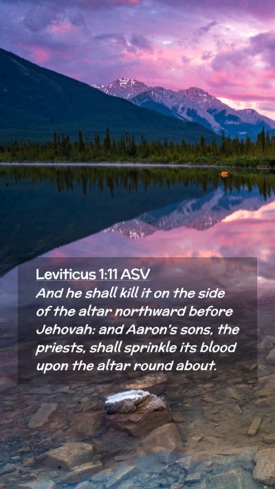 Picture 02 - Leviticus 1:11 ASV Mobile Phone Wallpaper - And he shall kill it on the side of the altar - Mobile Bible Verse Wallpaper