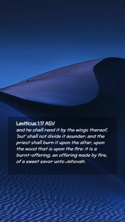 Picture 02 - Leviticus 1:17 ASV Mobile Phone Wallpaper - and he shall rend it by the wings thereof, `but' - Mobile Bible Verse Wallpaper