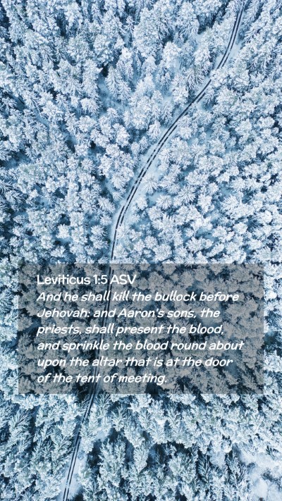 Picture 02 - Leviticus 1:5 ASV Mobile Phone Wallpaper - And he shall kill the bullock before Jehovah: and - Mobile Bible Verse Wallpaper
