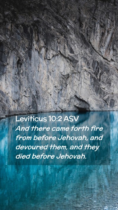 Picture 02 - Leviticus 10:2 ASV Mobile Phone Wallpaper - And there came forth fire from before Jehovah, - Mobile Bible Verse Wallpaper