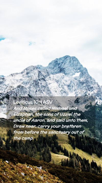 Picture 02 - Leviticus 10:4 ASV Mobile Phone Wallpaper - And Moses called Mishael and Elzaphan, the sons - Mobile Bible Verse Wallpaper