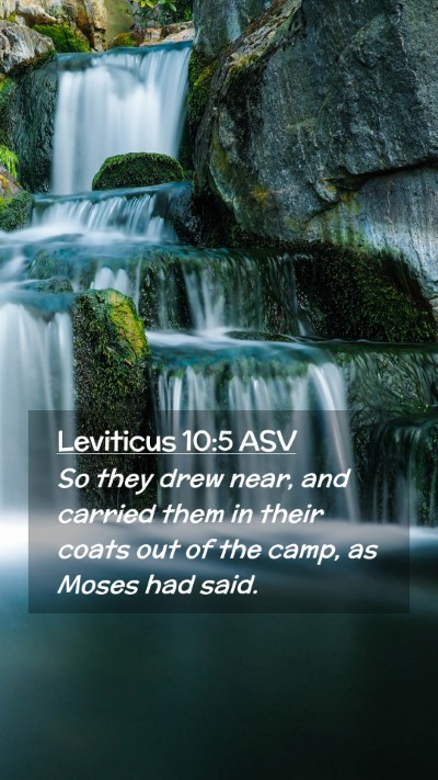 Picture 02 - Leviticus 10:5 ASV Mobile Phone Wallpaper - So they drew near, and carried them in their - Mobile Bible Verse Wallpaper