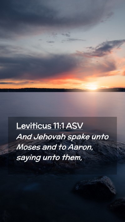 Picture 02 - Leviticus 11:1 ASV Mobile Phone Wallpaper - And Jehovah spake unto Moses and to Aaron, saying - Mobile Bible Verse Wallpaper