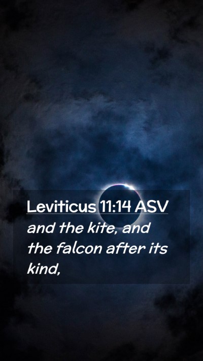 Picture 02 - Leviticus 11:14 ASV Mobile Phone Wallpaper - and the kite, and the falcon after its - Mobile Bible Verse Wallpaper
