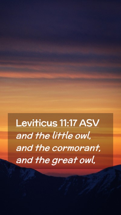 Picture 02 - Leviticus 11:17 ASV Mobile Phone Wallpaper - and the little owl, and the cormorant, and the - Mobile Bible Verse Wallpaper