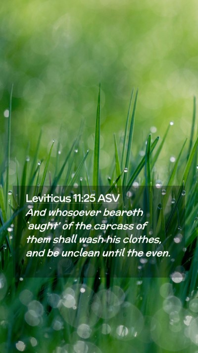Picture 02 - Leviticus 11:25 ASV Mobile Phone Wallpaper - And whosoever beareth `aught' of the carcass of - Mobile Bible Verse Wallpaper