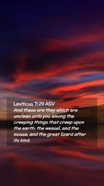 Picture 02 - Leviticus 11:29 ASV Mobile Phone Wallpaper - And these are they which are unclean unto you - Mobile Bible Verse Wallpaper