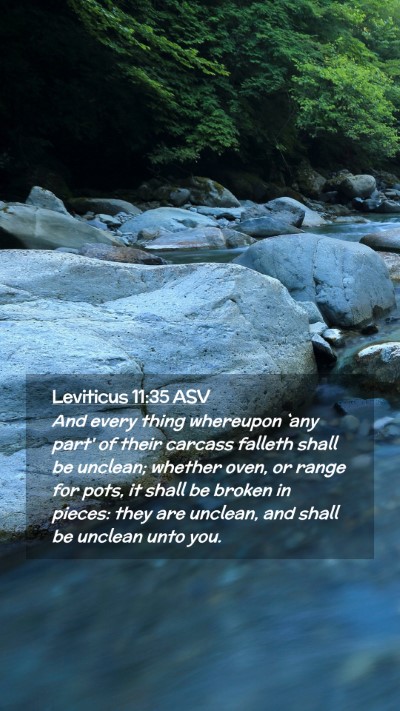 Picture 02 - Leviticus 11:35 ASV Mobile Phone Wallpaper - And every thing whereupon `any part' of their - Mobile Bible Verse Wallpaper