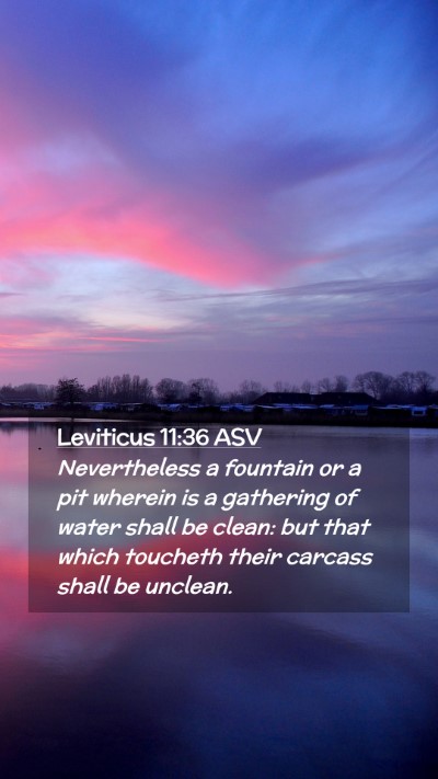 Picture 02 - Leviticus 11:36 ASV Mobile Phone Wallpaper - Nevertheless a fountain or a pit wherein is a - Mobile Bible Verse Wallpaper